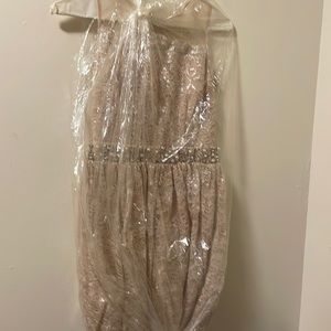 Champagne Pink Dress